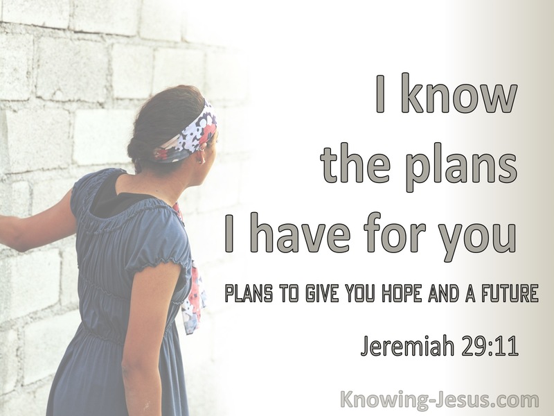 Jeremiah 29:11 For I Know The Plans I Have for You Plans To Give You A Hope And A Future (sage)